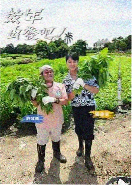 毕业那天没下雨 在线观看免费